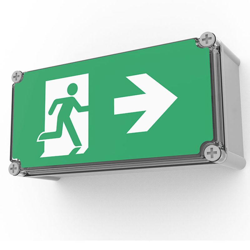 Ektor Boxit Pro Exit Light Wallmount 24m IP65 | Cetnaj