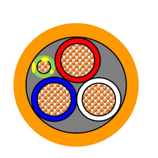 APEC_3C%2BE_Orange_Circ_MVM.jpg