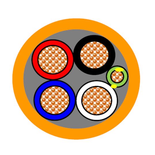 APEC_4C%2BE_Orange_Circular.jpg