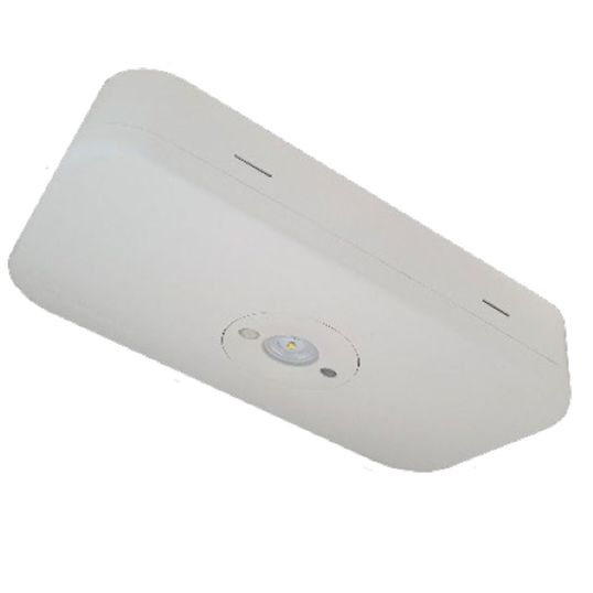 Cubpro Clevertronics Clevertronics Emergency Light Weatherproof 0.7W Standby/3W Max 240V ...